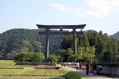 咹